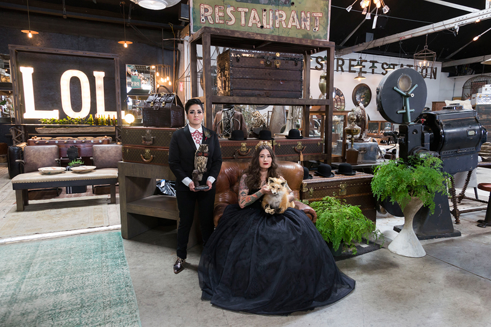 Fox and the owl wedding shot at big daddys antiques bride black womens shawl lapel tuxedo with a white dress shirt and red lace design on neckline with red floral boutonniere with bride black ball gown with thin straps and sweetheart neckline sitting holding fox and owl