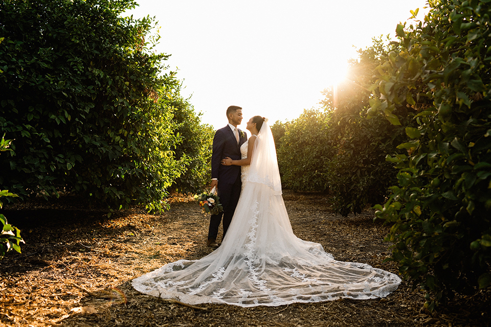 San diego autumn inspired outdoor wedding at limoneira ranch bride form fitting lace gown with straps and a v neckline with open back design and long veil with groom cobalt notch lapel suit by allure men with a matching vest and white dress shirt with a long white tie and white floral boutonniere standing and hugging at sunset