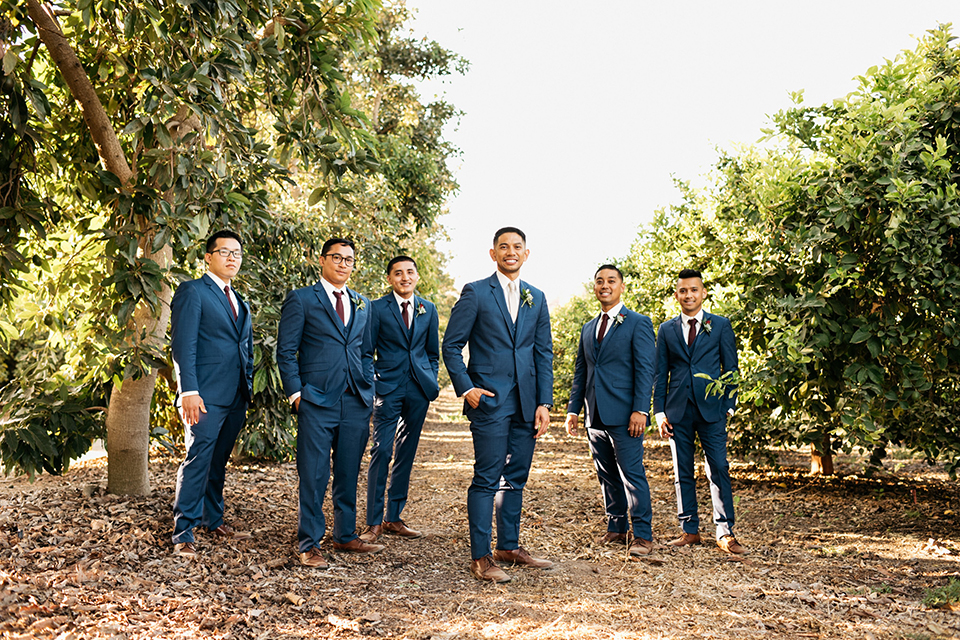 San diego autumn inspired outdoor wedding at limoneira ranch groom cobalt blue notch lapel suit with a matching vest and white dress shirt with a long white tie and white floral boutonniere standing with groomsmen cobalt blue suits with long burgundy ties and burgundy floral boutonnieres