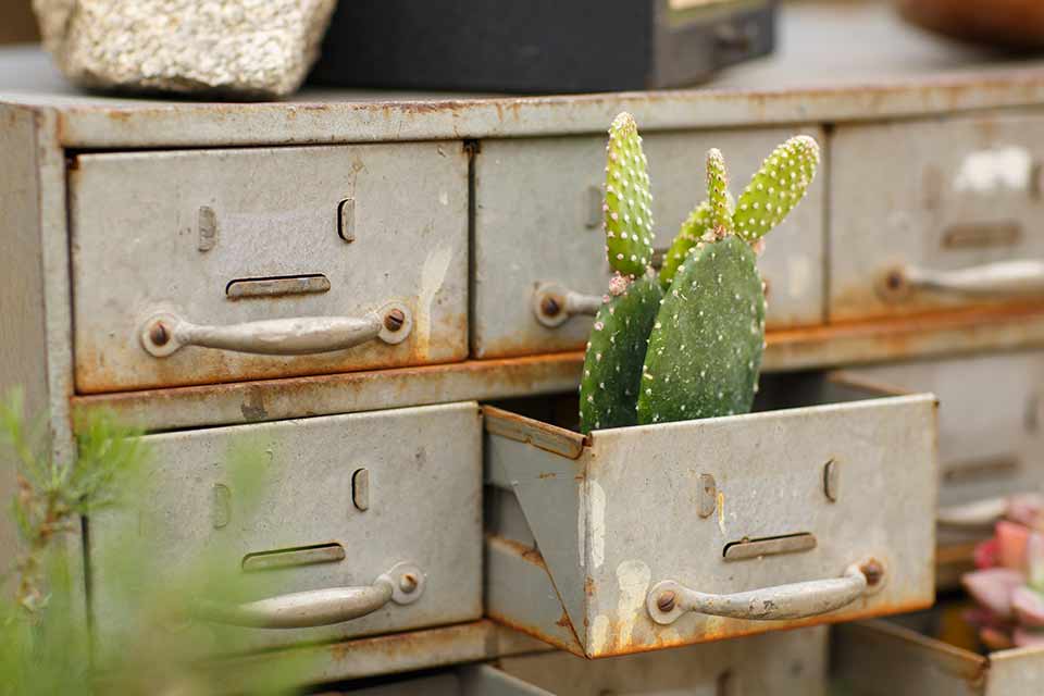 Desert-view-tower-cacti-decor