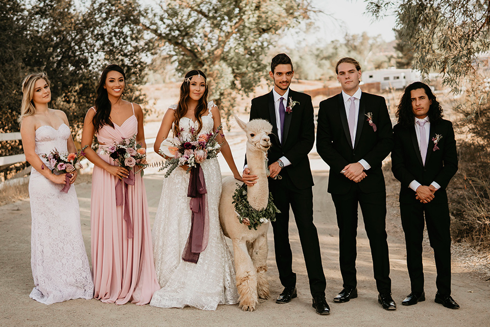 Boho chic elopement wedding with the bridesmaids with soft pink gowns and the groomsmen in black suits the bride in an ivory lace ball gown with a gold chain headpiece and the groom in a black suit with a black long tie