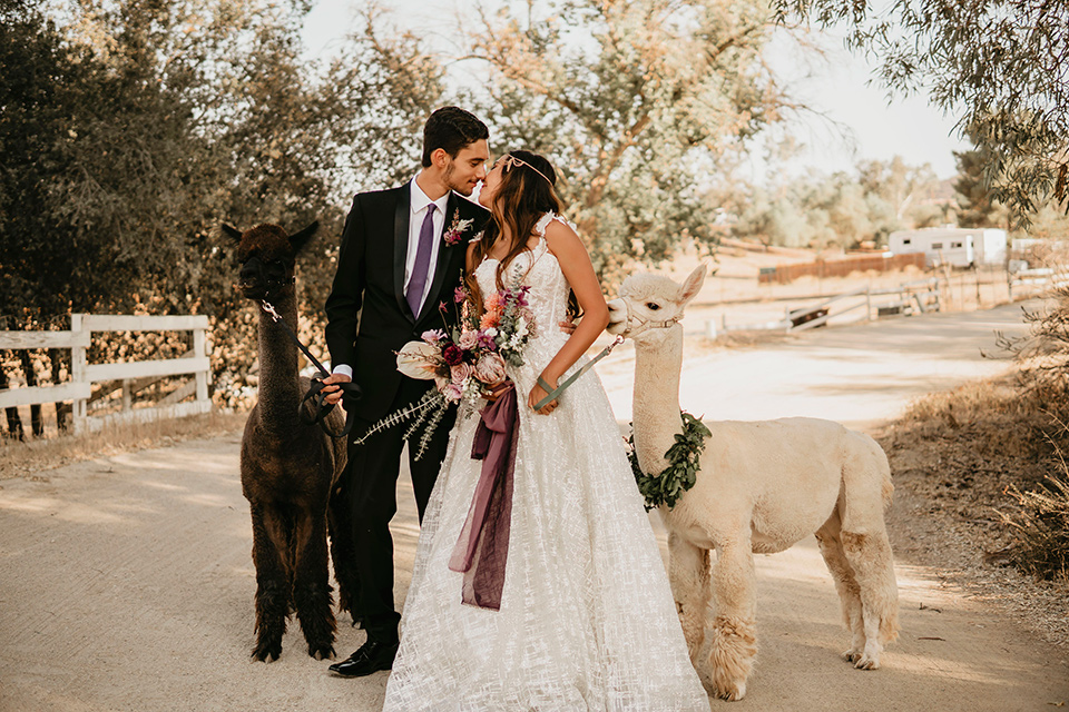 Boho chic elopement wedding with the bride in an ivory lace ball gown with a gold chain headpiece and the groom in a black suit with a black long tie with an alpaca