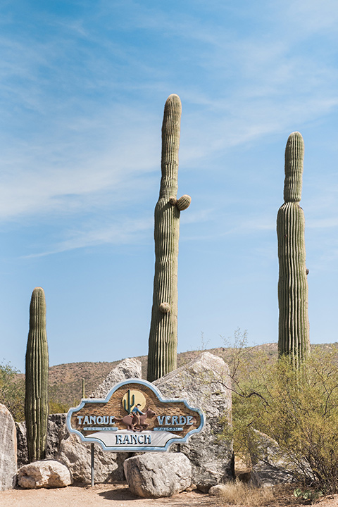 tanque-verde-ranch-arizona-wedding-cacti