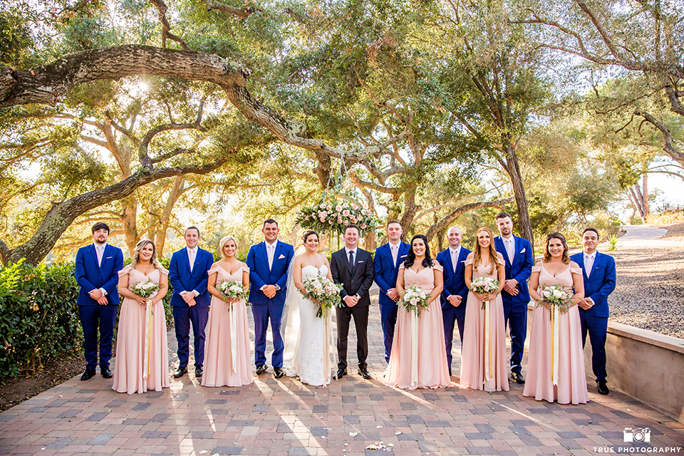 mount-woodson-castle-bridesmaids-and-groomsmen-bridesmaids-in-light-pink-long-dresses-groomsmen-in-cobalt-blue-suits-with-pink-ties-bride-in-a-mermaid-gown-with-lace-detailing-and-a-sweetheart-neckline-groom-in-a-lack-suti-with-a-black-long-tie