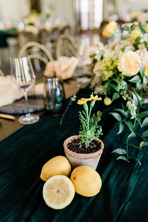 malibu-lodge-spring-wedding-shoot-lemon-table-decor