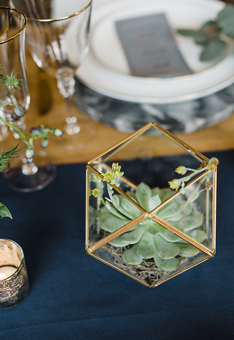 succulents on a decorated table