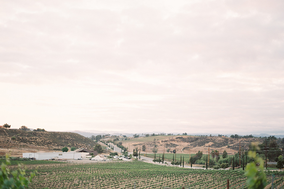  venue with vineyards 