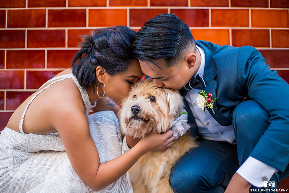 skybox-real-wedding-bride-and-groom-with-dog-bride-wearing-a-fitting-lace-dress-with=straps-groom-wearing-a-blue-suit-bridesmaids-in-burgundy-groomsmen-in-blue