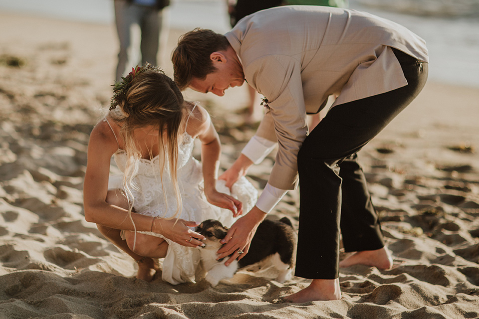 Sunset-Cliffs-Elopement-bride-and-groom-petting-dogs-bride-in-a-lace-form-fitting-gown-with-thin-straps-groom-in-a-tan-suit-coat-with-black-pants-and-black-bow-tie