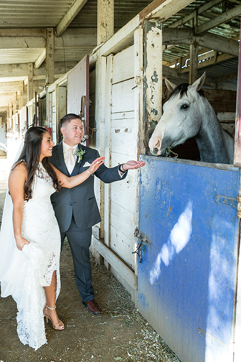 gallway-downs-wedding-bride-and-groom-with-horse-bride-in-a-lace-formfitting-dress-with-a-high-neckline-and-keyhole-back-groom-in-a-charcoal-tuxxedo-with-nude-long-tie