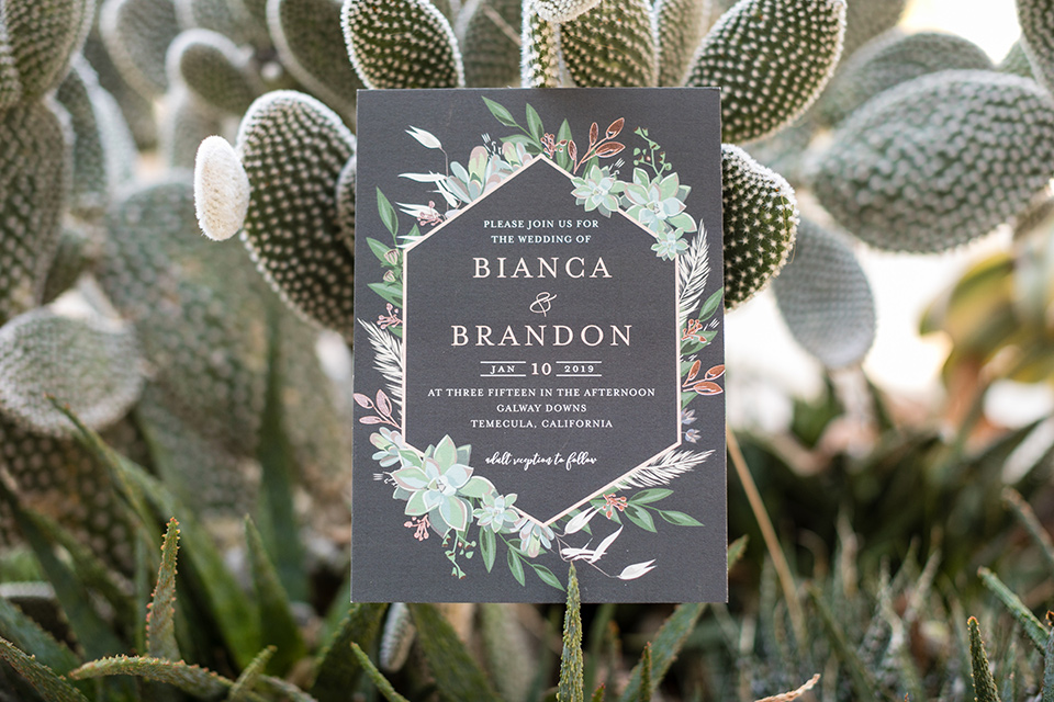 gallway-downs-wedding-invitations-with-a-cacti-design-and-simle-calligraphy