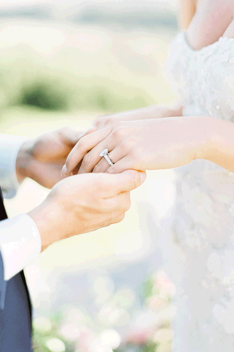 whispering-rose-shoot-bride-and-groom-hands-bride-wearing-a-strapless-gown-with-pink-shoes-groom-in-a-cobalt-blue-suit-with-brown-shoes-and-an-ivory-tie