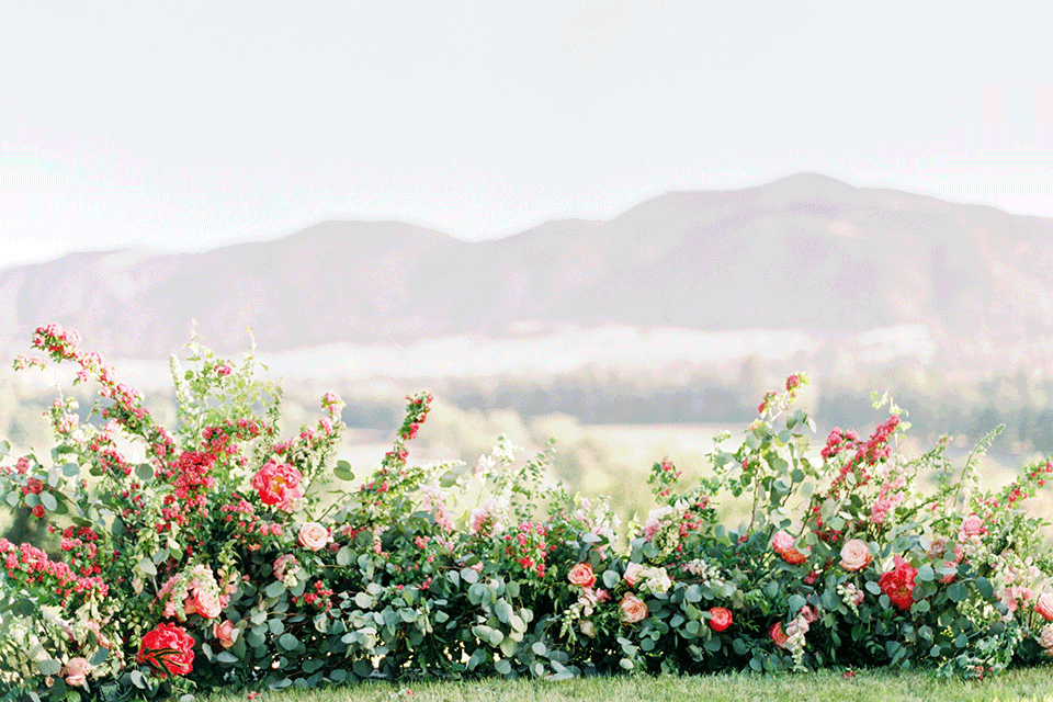 whispering-rose-shoot-mountains