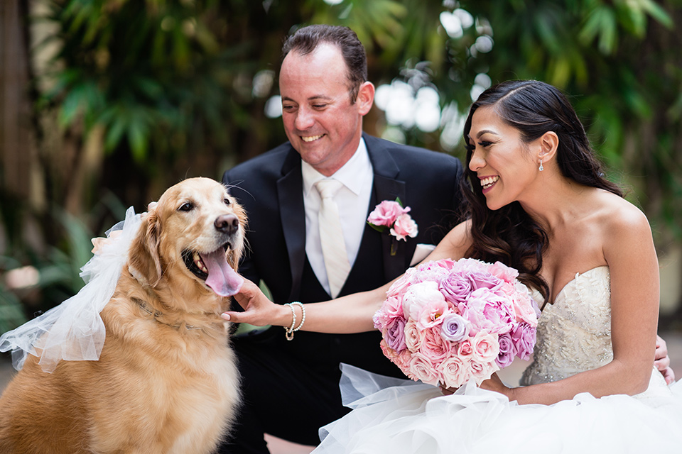  The bride in a mermaid style gown with a sweetheart neckline and the groom in a black tuxedo with a white long tie with their golden retriever 