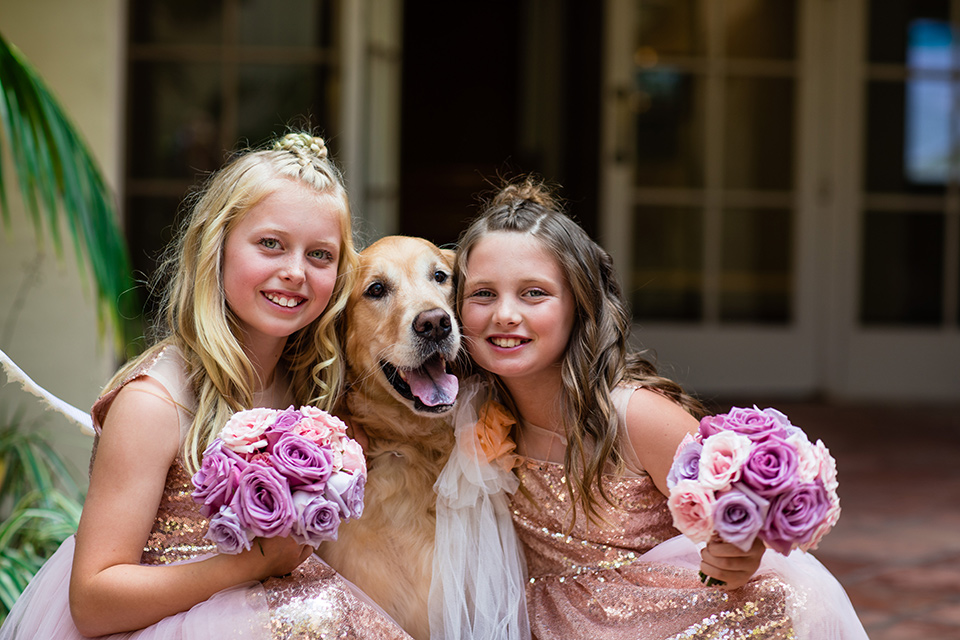  the flower girl with the golden retriever 