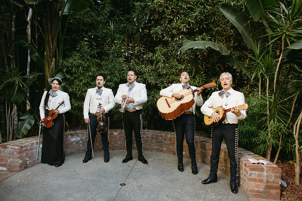  reception band