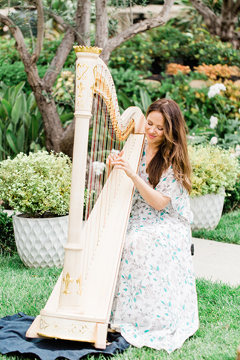  ceremony harpist 