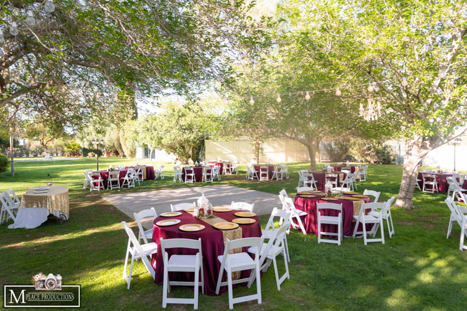  reception set up and decor 