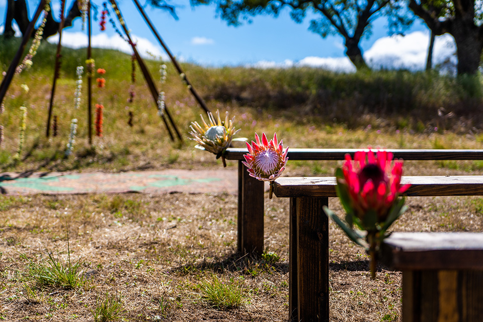  ceremony benches