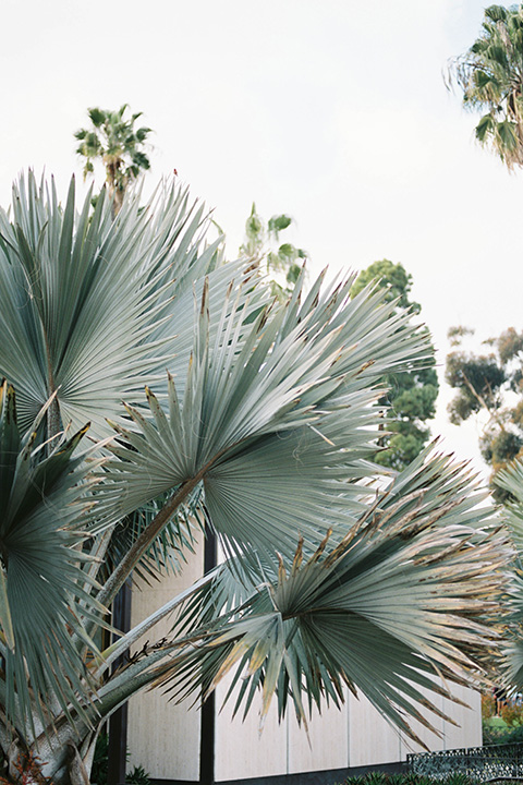  bride and groom eloping at balboa park –hands close