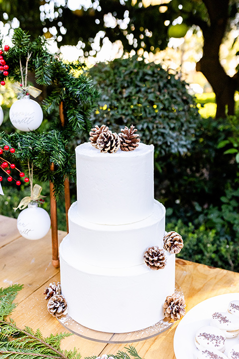  Christmas styled shoot with a white tiered cake and pinecone decor 