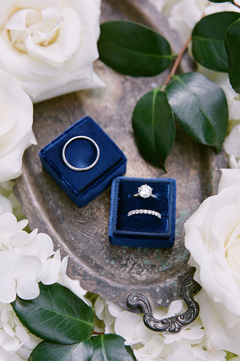  romantic wedding - rings 