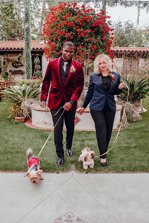  micro airbnb wedding with the bride and groom in suits – bride and groom walking the dogs