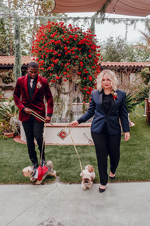  micro airbnb wedding with the bride and groom in suits – bride and groom walking the dogs 