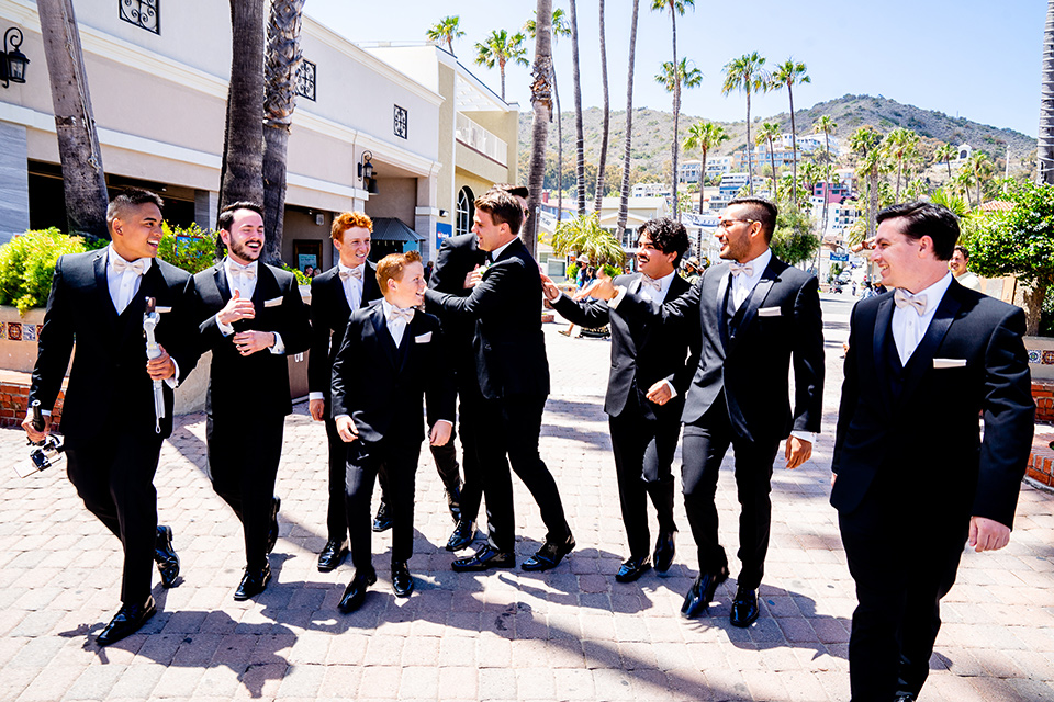  classic wedding on Catalina with the groom and groomsmen in black tuxedos and the bridesmaids in blush gowns