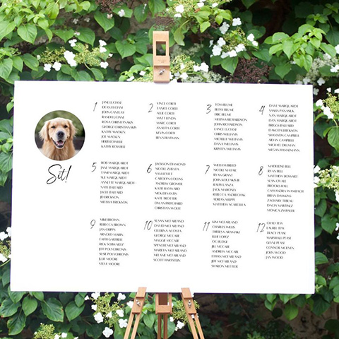  how to incorporate your dog into your wedding – seating chart 