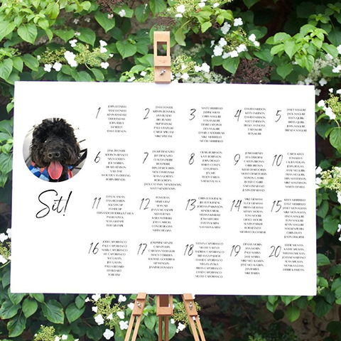  how to incorporate your dog into your wedding – seating chart 