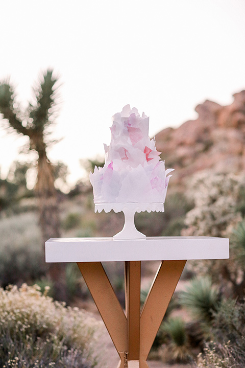  Iridescent dreams in the desert with the bride in a pink dress and the groom in a rose suit - cake