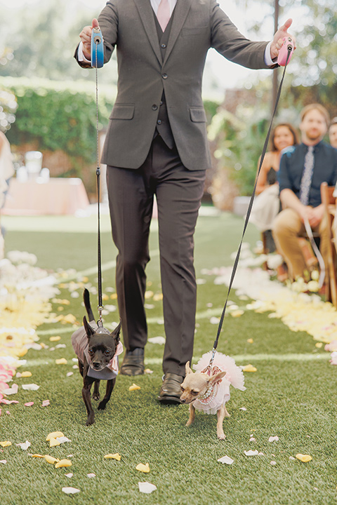  princess inspired wedding with touches of pink and dogs – dogs walking down the aisle 
