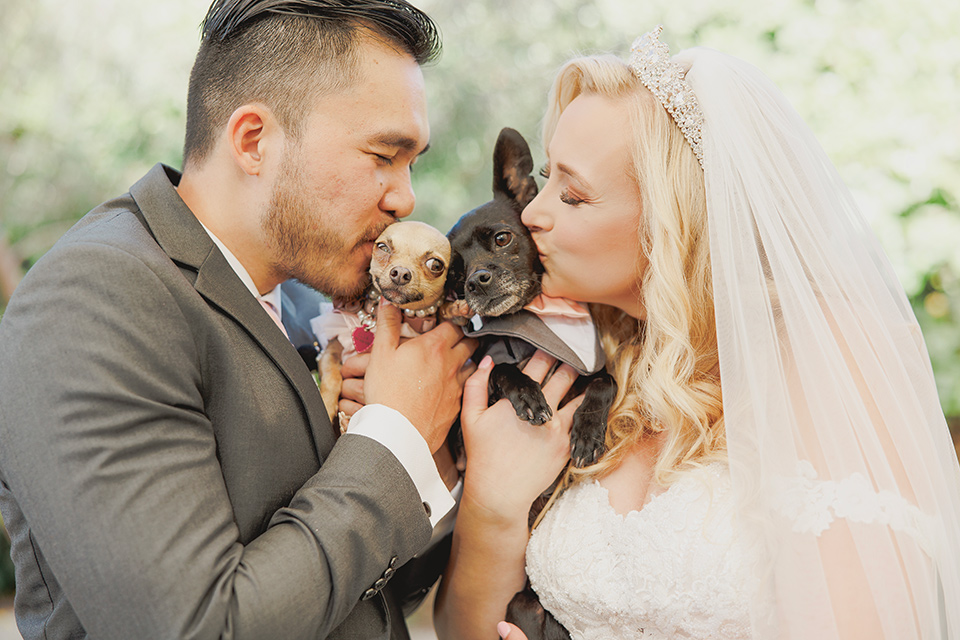  princess inspired wedding with touches of pink and dogs – couple with dogs