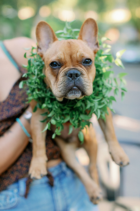  boho autumn wedding– groom