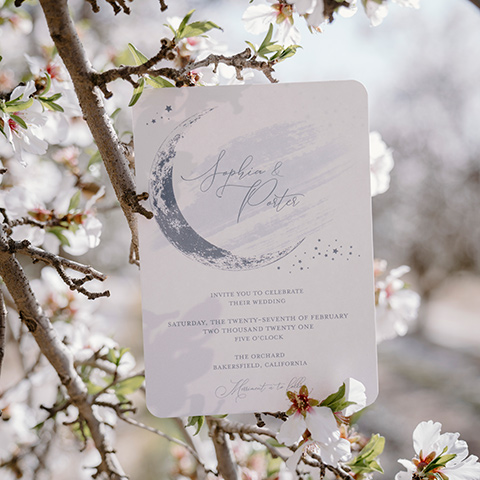  Iridescent dreams in the desert with the bride in a pink dress and the groom in a rose suit - bride