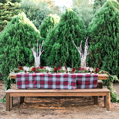  fall wedding at kestrel park - arch 