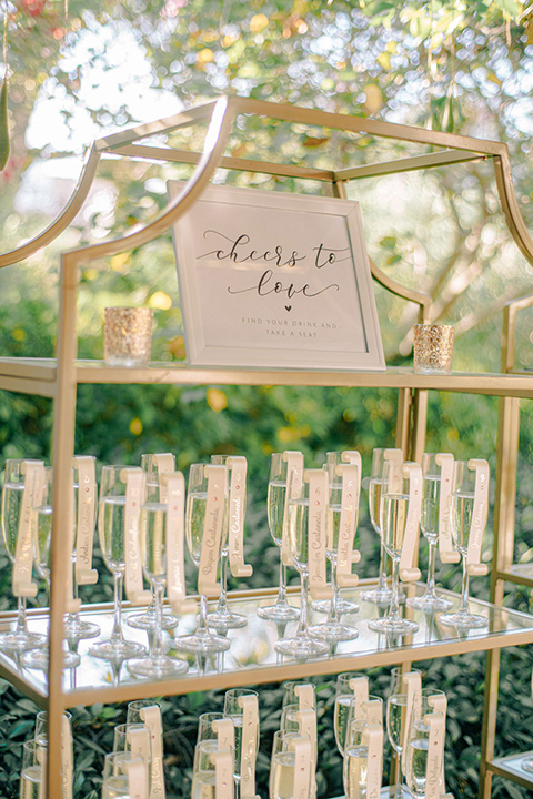  a romantic blush and blue wedding with garden details - champagne 