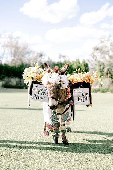  a golden toned wedding with garden details in Arizona - donkey 