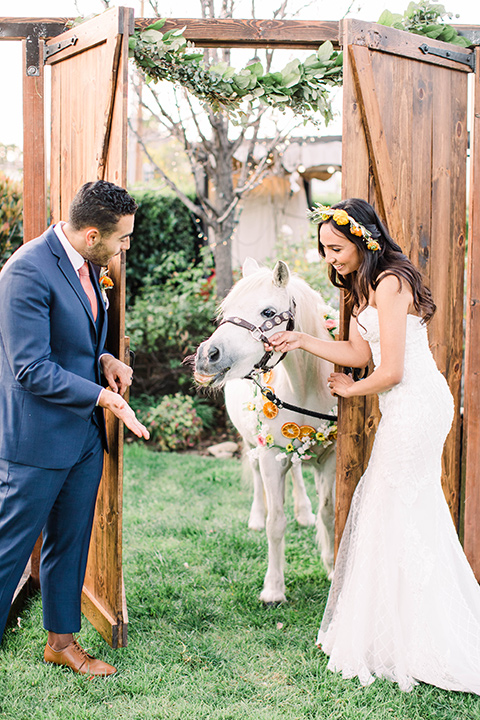  citrus blue and orange wedding with rustic tones – couple and the mini horse 