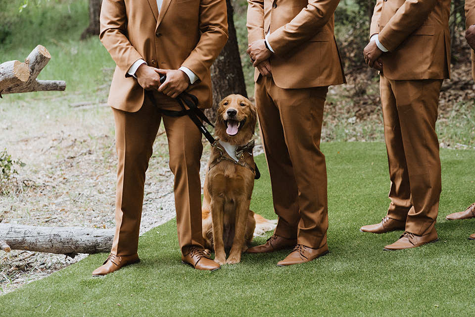  a neutral monochromatic earth toned wedding with boho trendy vibes - dog at ceremony 