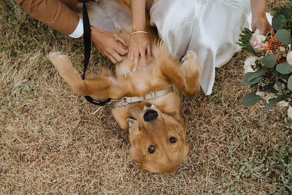  a neutral monochromatic earth toned wedding with boho trendy vibes - dog 