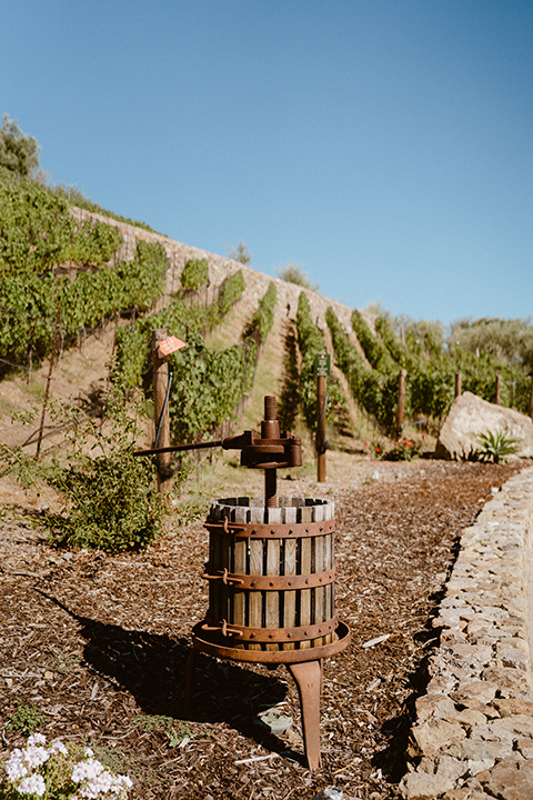  blush and beige wedding with a chic modern twist – the bride in a cap sleeved fitted gown and the groom in a black suit – venue 